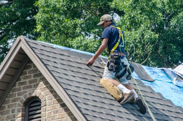 Best Roof Gutter Cleaning  in Penrose, CO